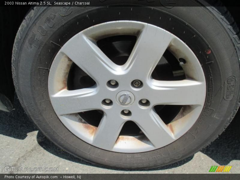 Seascape / Charcoal 2003 Nissan Altima 2.5 SL