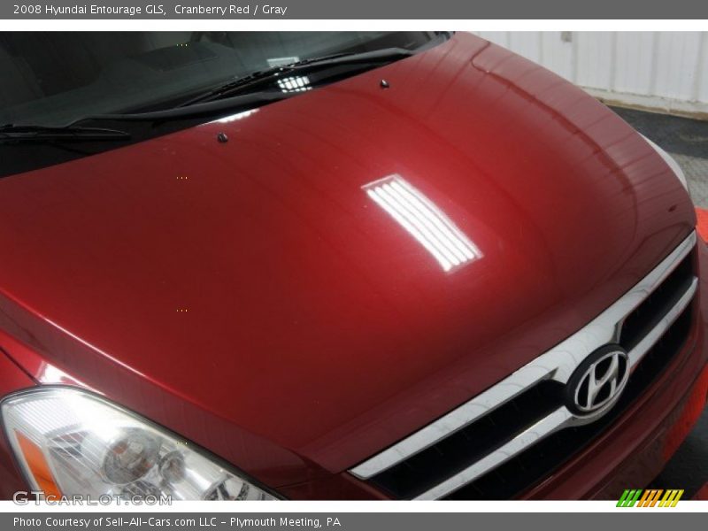 Cranberry Red / Gray 2008 Hyundai Entourage GLS