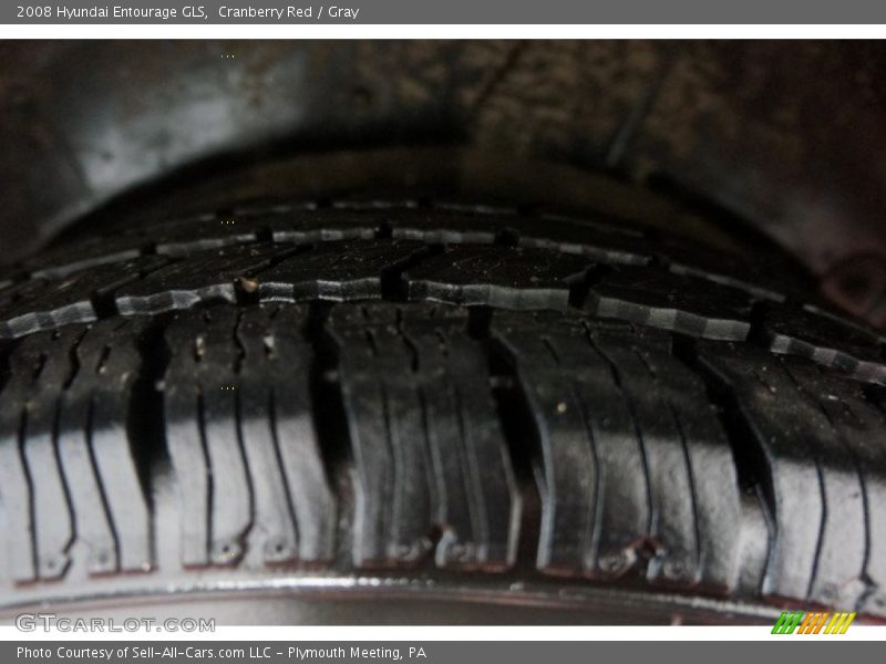 Cranberry Red / Gray 2008 Hyundai Entourage GLS