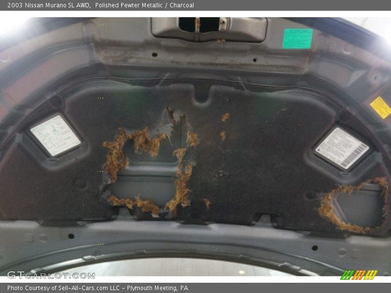 Polished Pewter Metallic / Charcoal 2003 Nissan Murano SL AWD
