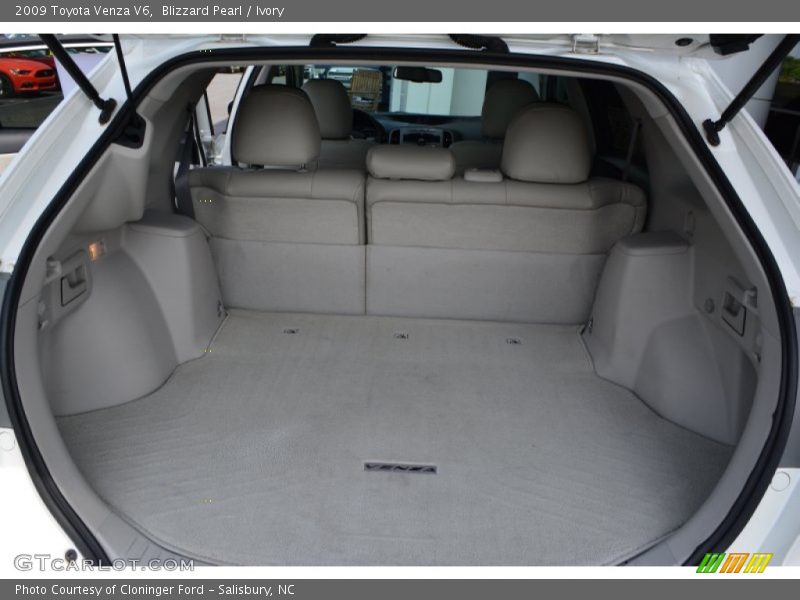 Blizzard Pearl / Ivory 2009 Toyota Venza V6