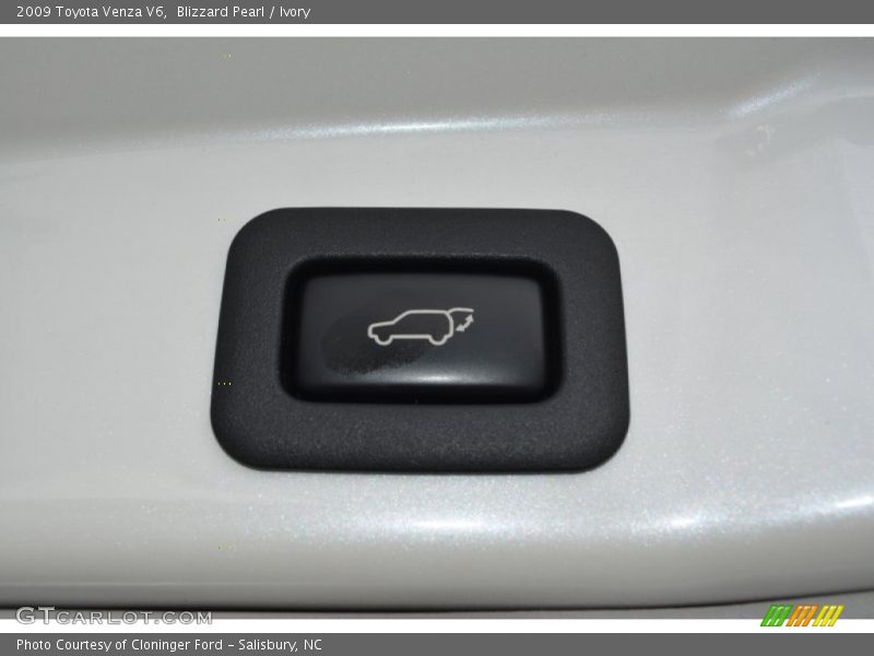 Blizzard Pearl / Ivory 2009 Toyota Venza V6