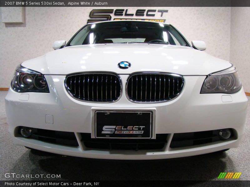 Alpine White / Auburn 2007 BMW 5 Series 530xi Sedan
