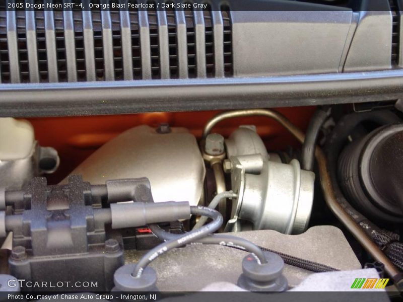 Orange Blast Pearlcoat / Dark Slate Gray 2005 Dodge Neon SRT-4