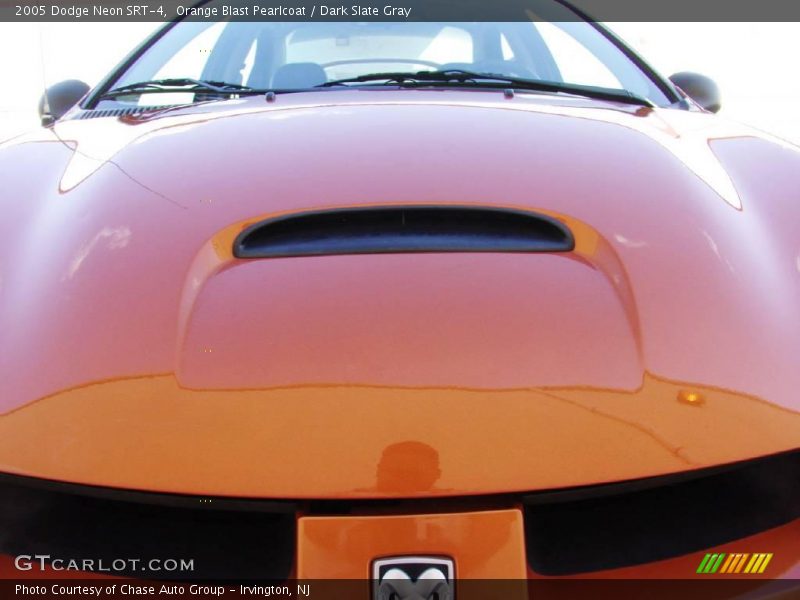 Orange Blast Pearlcoat / Dark Slate Gray 2005 Dodge Neon SRT-4