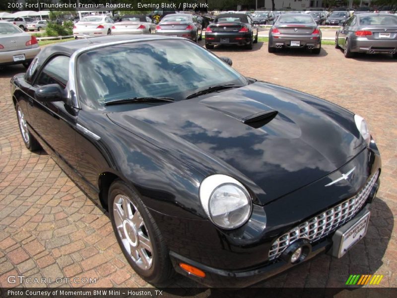 Evening Black / Black Ink 2005 Ford Thunderbird Premium Roadster