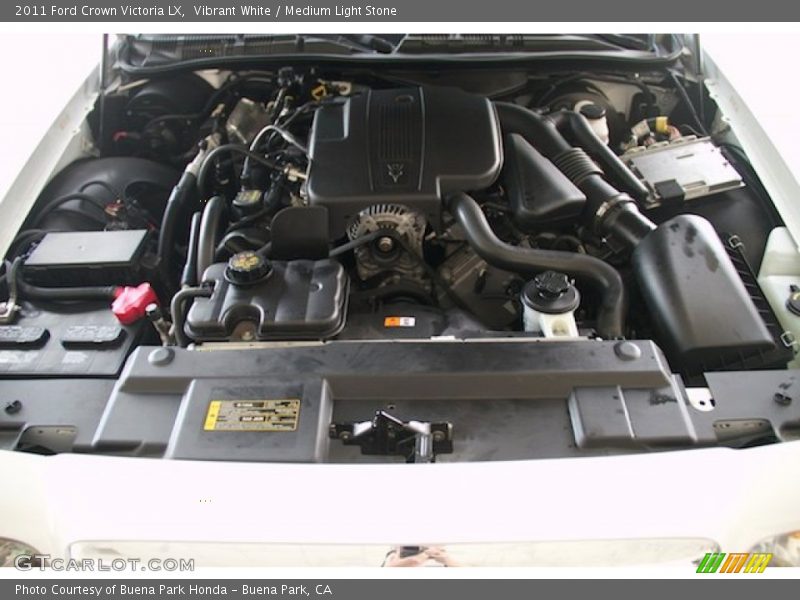 Vibrant White / Medium Light Stone 2011 Ford Crown Victoria LX