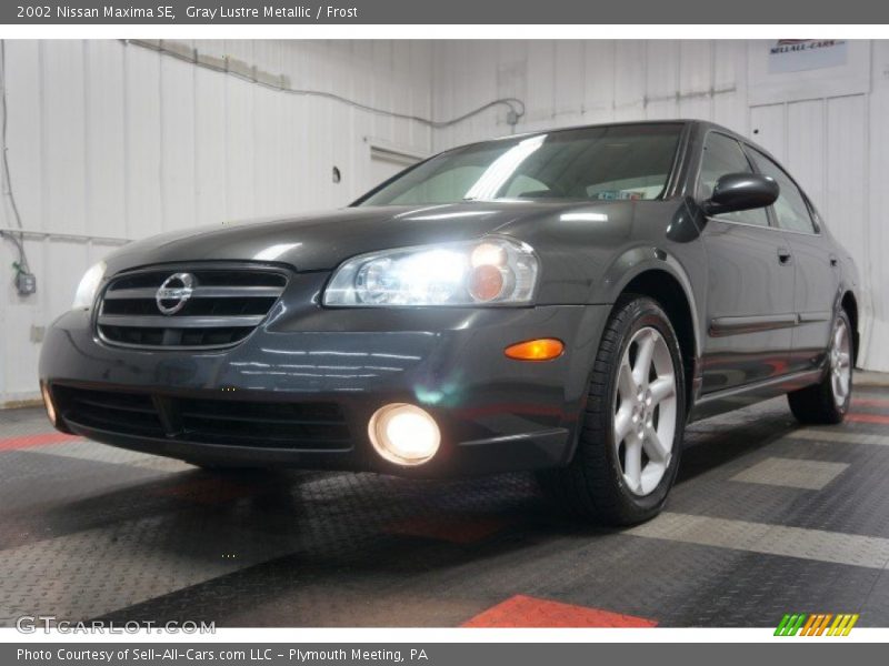 Gray Lustre Metallic / Frost 2002 Nissan Maxima SE