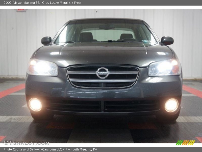 Gray Lustre Metallic / Frost 2002 Nissan Maxima SE