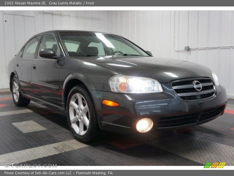 Gray Lustre Metallic / Frost 2002 Nissan Maxima SE