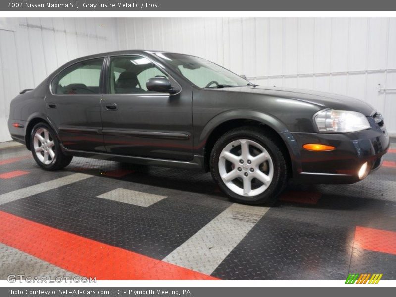 Gray Lustre Metallic / Frost 2002 Nissan Maxima SE