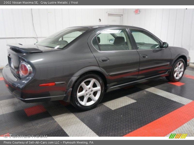 Gray Lustre Metallic / Frost 2002 Nissan Maxima SE