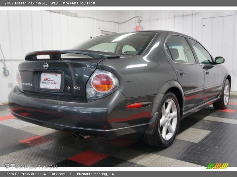 Gray Lustre Metallic / Frost 2002 Nissan Maxima SE