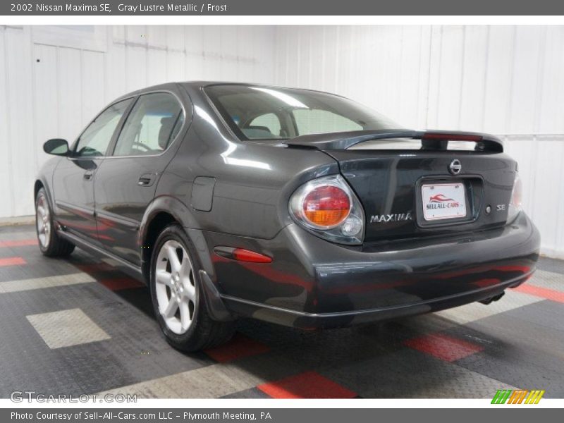 Gray Lustre Metallic / Frost 2002 Nissan Maxima SE