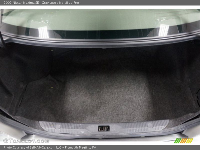 Gray Lustre Metallic / Frost 2002 Nissan Maxima SE