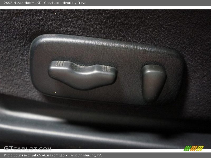 Gray Lustre Metallic / Frost 2002 Nissan Maxima SE