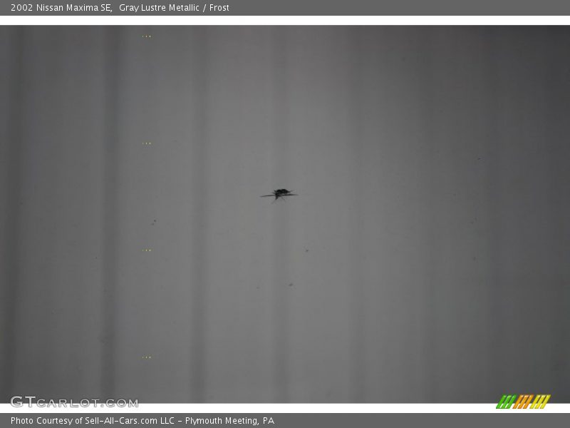 Gray Lustre Metallic / Frost 2002 Nissan Maxima SE