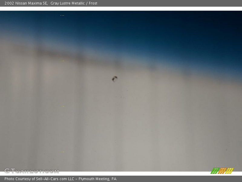 Gray Lustre Metallic / Frost 2002 Nissan Maxima SE