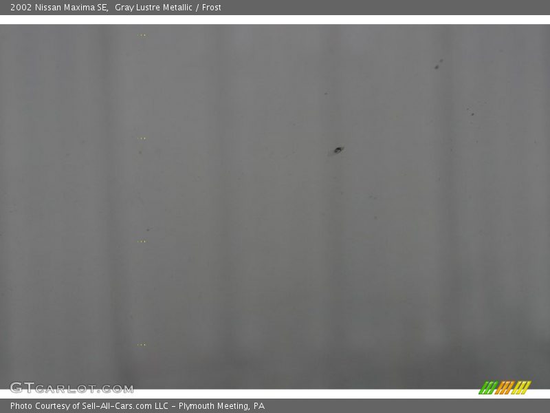 Gray Lustre Metallic / Frost 2002 Nissan Maxima SE
