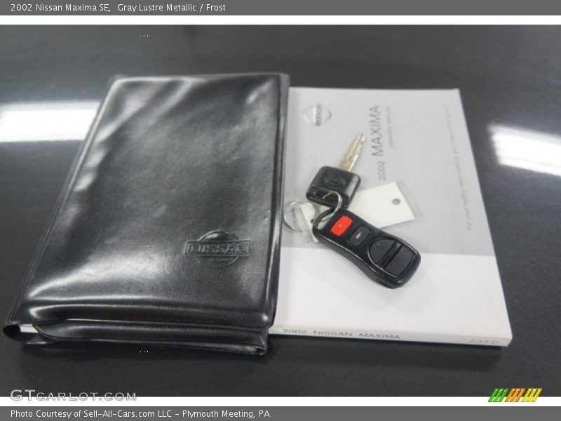 Gray Lustre Metallic / Frost 2002 Nissan Maxima SE