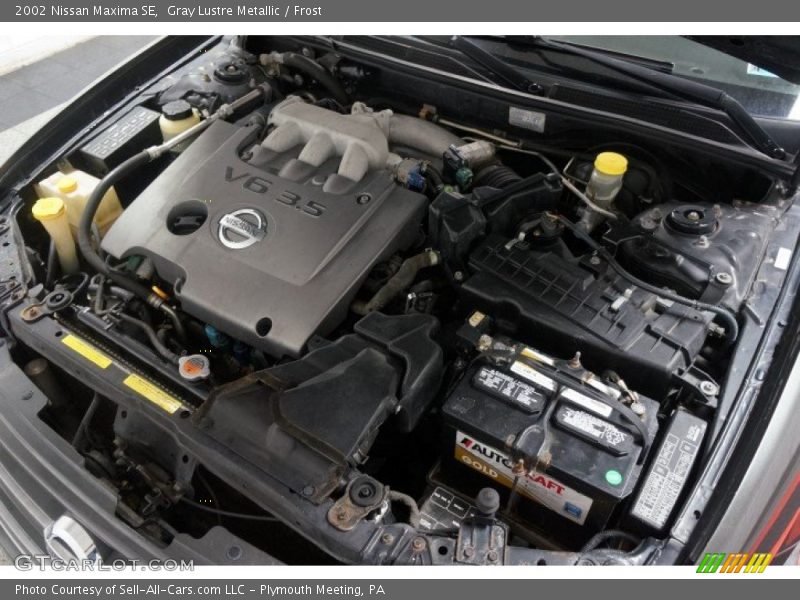 Gray Lustre Metallic / Frost 2002 Nissan Maxima SE