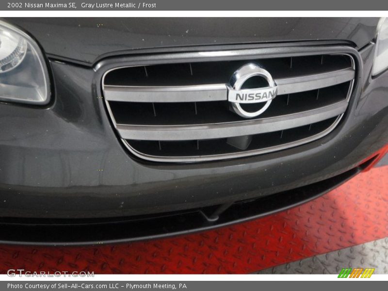 Gray Lustre Metallic / Frost 2002 Nissan Maxima SE