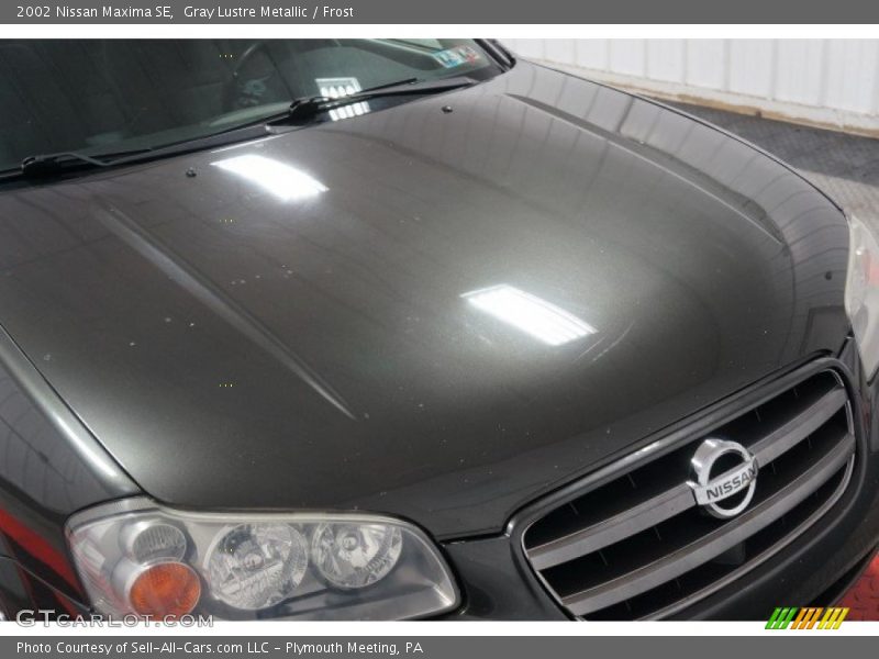 Gray Lustre Metallic / Frost 2002 Nissan Maxima SE