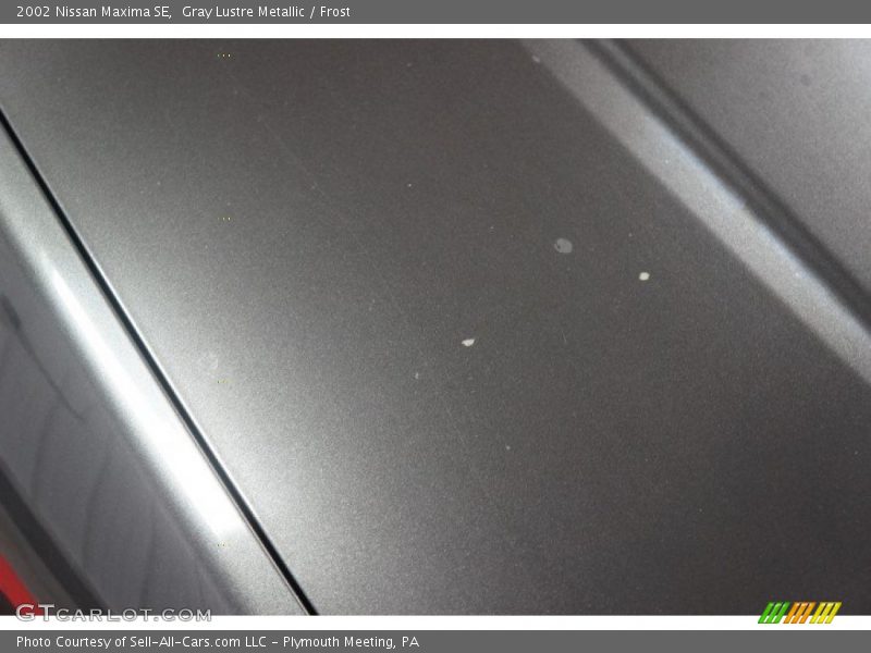 Gray Lustre Metallic / Frost 2002 Nissan Maxima SE
