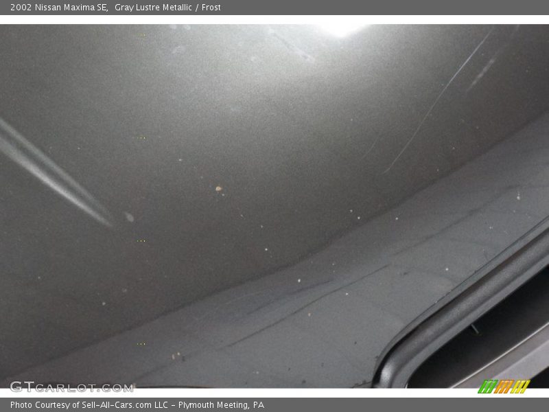 Gray Lustre Metallic / Frost 2002 Nissan Maxima SE