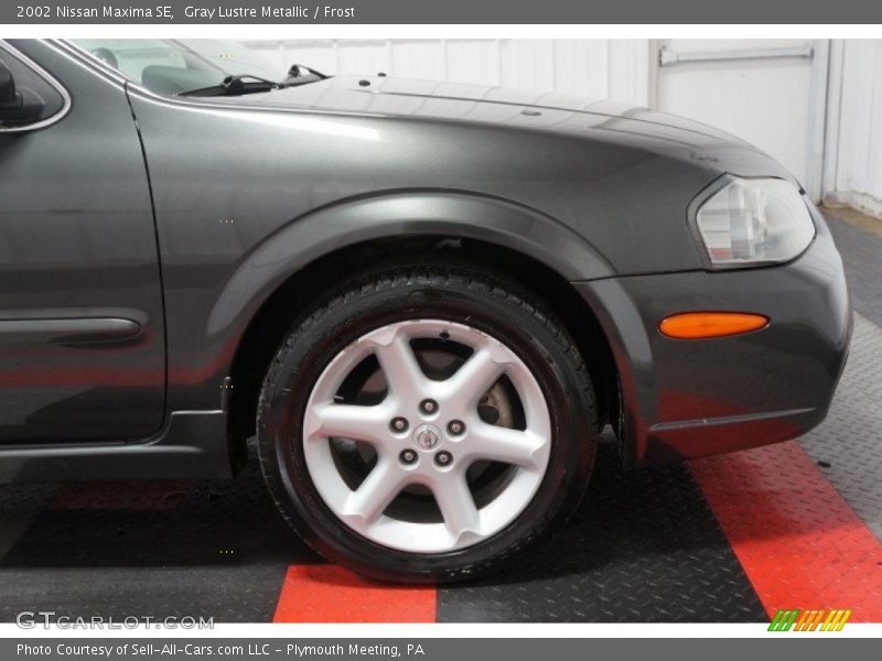 Gray Lustre Metallic / Frost 2002 Nissan Maxima SE