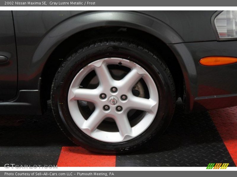 Gray Lustre Metallic / Frost 2002 Nissan Maxima SE