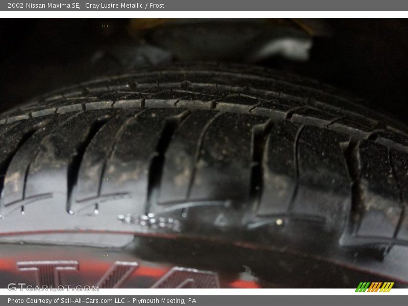 Gray Lustre Metallic / Frost 2002 Nissan Maxima SE