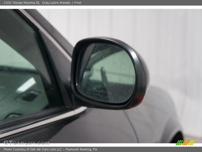 Gray Lustre Metallic / Frost 2002 Nissan Maxima SE