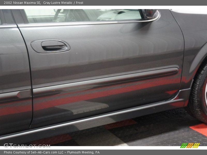 Gray Lustre Metallic / Frost 2002 Nissan Maxima SE