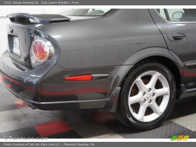 Gray Lustre Metallic / Frost 2002 Nissan Maxima SE