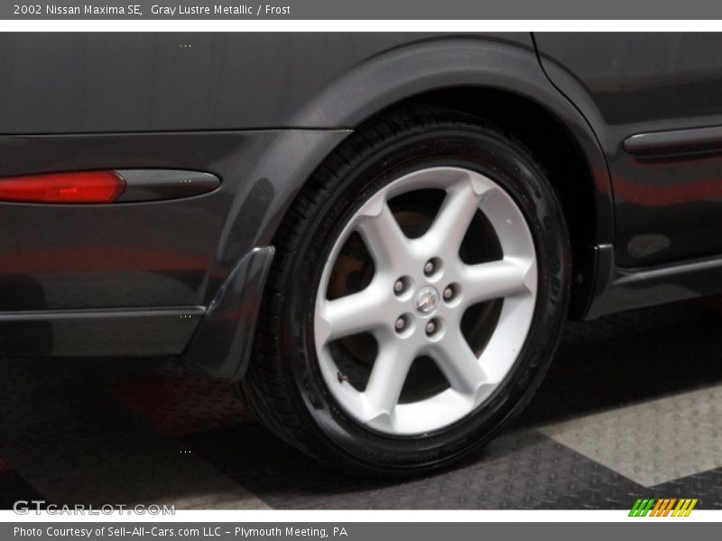 Gray Lustre Metallic / Frost 2002 Nissan Maxima SE