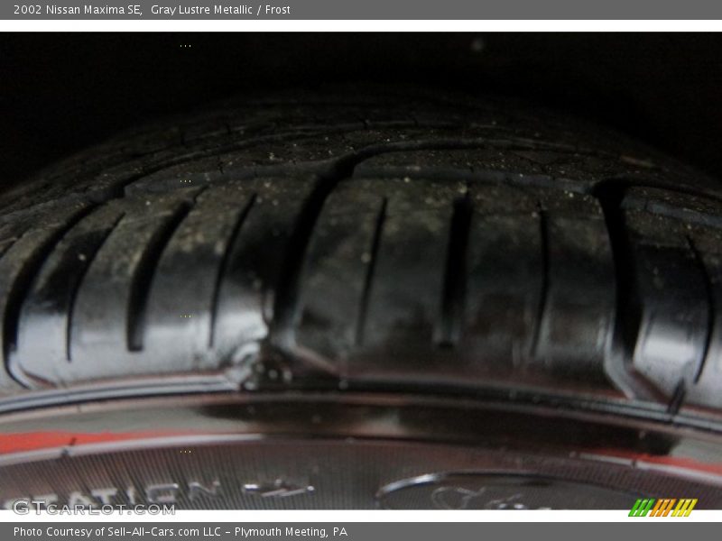 Gray Lustre Metallic / Frost 2002 Nissan Maxima SE