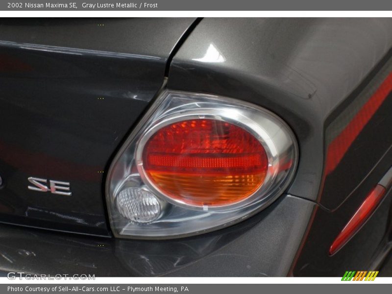Gray Lustre Metallic / Frost 2002 Nissan Maxima SE