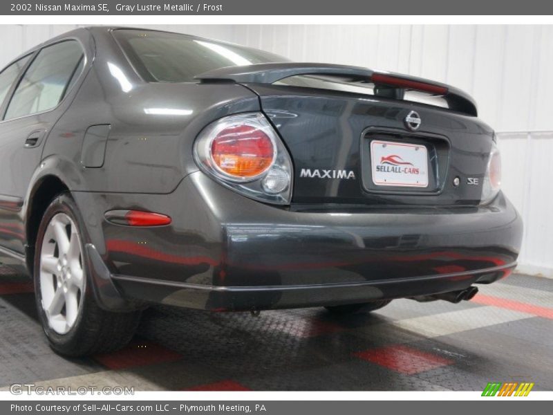 Gray Lustre Metallic / Frost 2002 Nissan Maxima SE