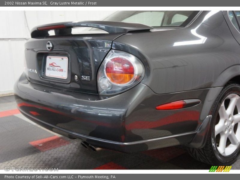 Gray Lustre Metallic / Frost 2002 Nissan Maxima SE
