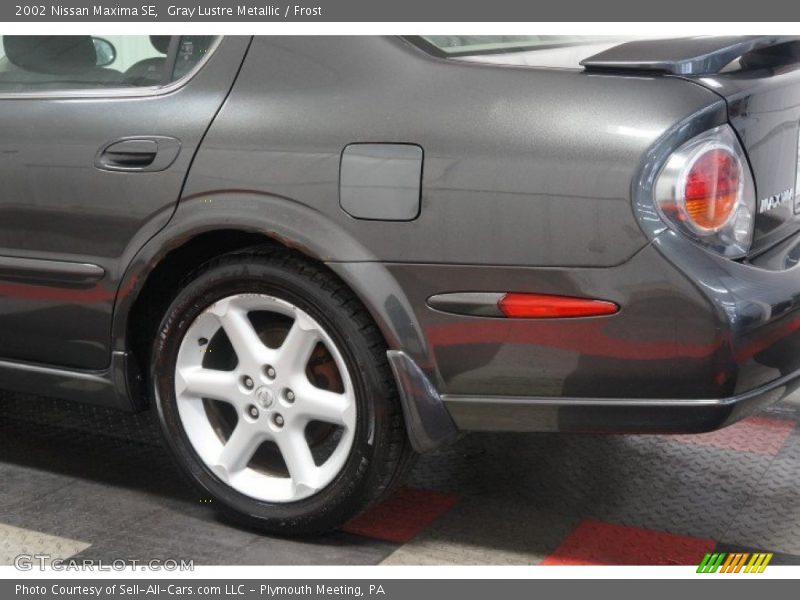 Gray Lustre Metallic / Frost 2002 Nissan Maxima SE