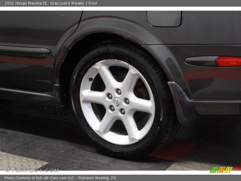 Gray Lustre Metallic / Frost 2002 Nissan Maxima SE