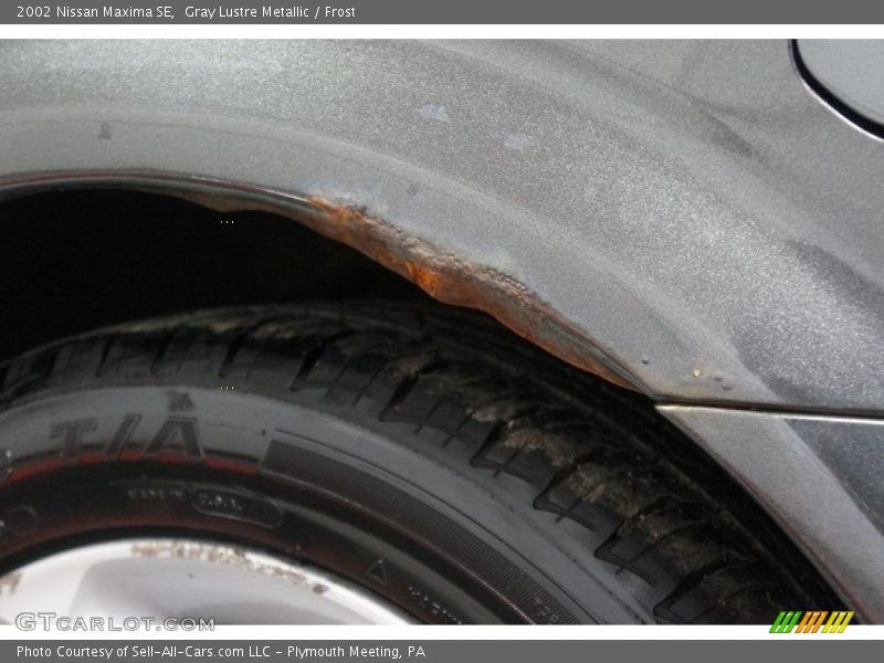 Gray Lustre Metallic / Frost 2002 Nissan Maxima SE