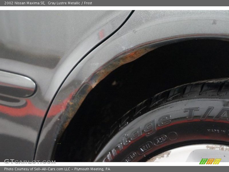 Gray Lustre Metallic / Frost 2002 Nissan Maxima SE