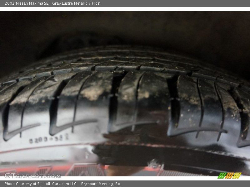 Gray Lustre Metallic / Frost 2002 Nissan Maxima SE