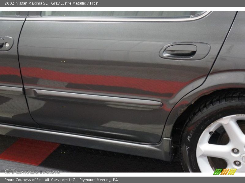 Gray Lustre Metallic / Frost 2002 Nissan Maxima SE