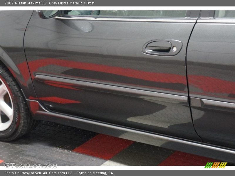 Gray Lustre Metallic / Frost 2002 Nissan Maxima SE