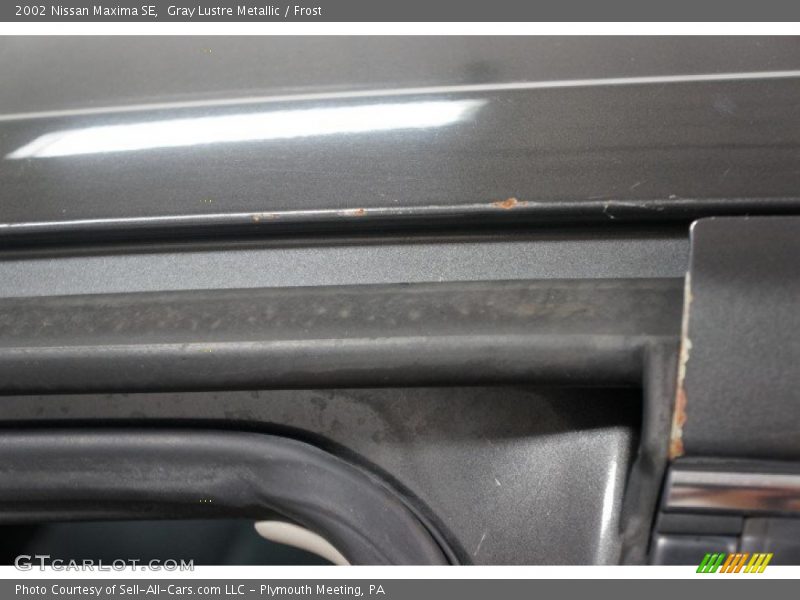Gray Lustre Metallic / Frost 2002 Nissan Maxima SE