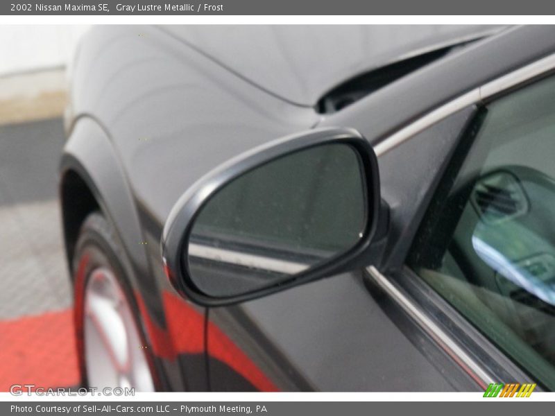 Gray Lustre Metallic / Frost 2002 Nissan Maxima SE