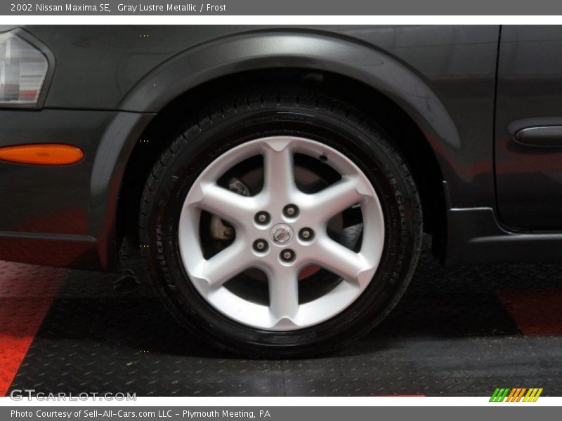 Gray Lustre Metallic / Frost 2002 Nissan Maxima SE